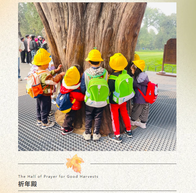 微信图片_20241120093251.png